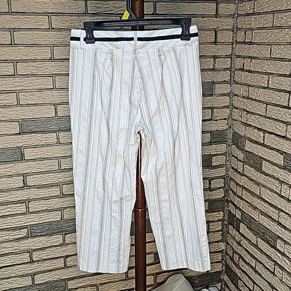 Talbots Petites Stretch Capris/cropped Pants Sz 2 - Picture 5 of 13